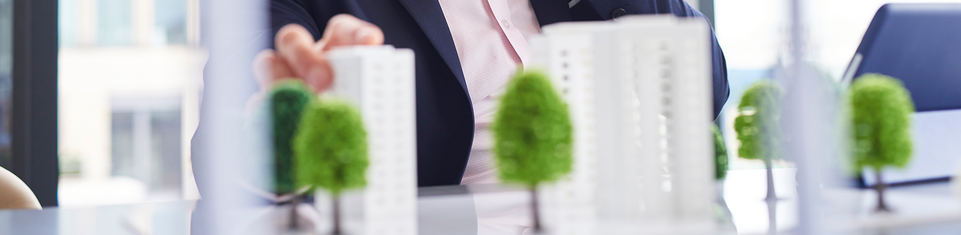 Servizi di Sviluppo di Progetti / Consulenza sugli Investimenti